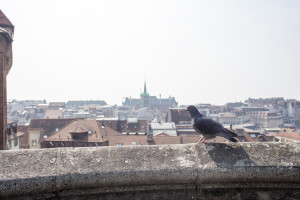 March 15, 2015: Thies, Ben, Samir, and I explore Lausanne, Switzerland before heading back to Turin, Italy